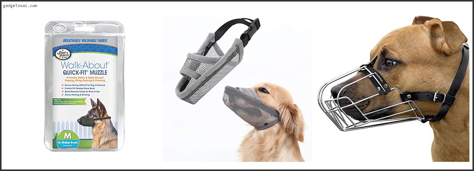 Top 10 Best Muzzle For Golden Retriever Review In 2022
