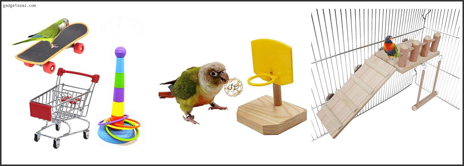 Top 10 Best Toys For Green Cheek Conure Review In 2022