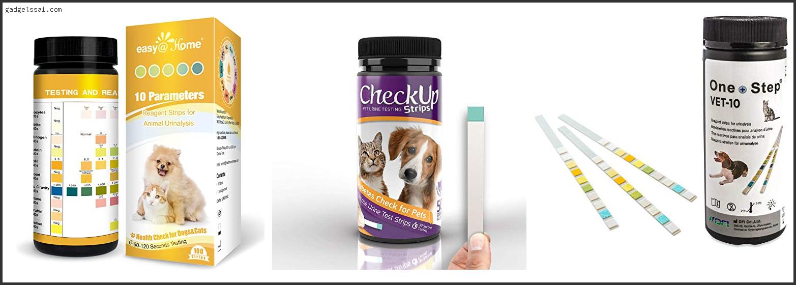 Top 10 Best Urine Test Strips For Dogs Review In 2022
